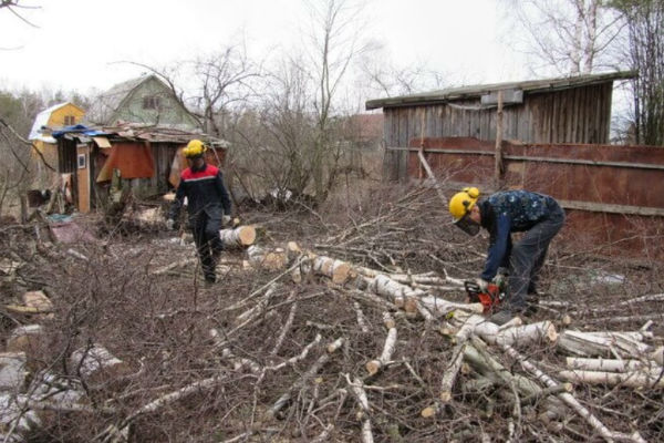 услуга расчистка участков Рязань